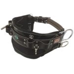 کمربند ایمنی سیمبانی